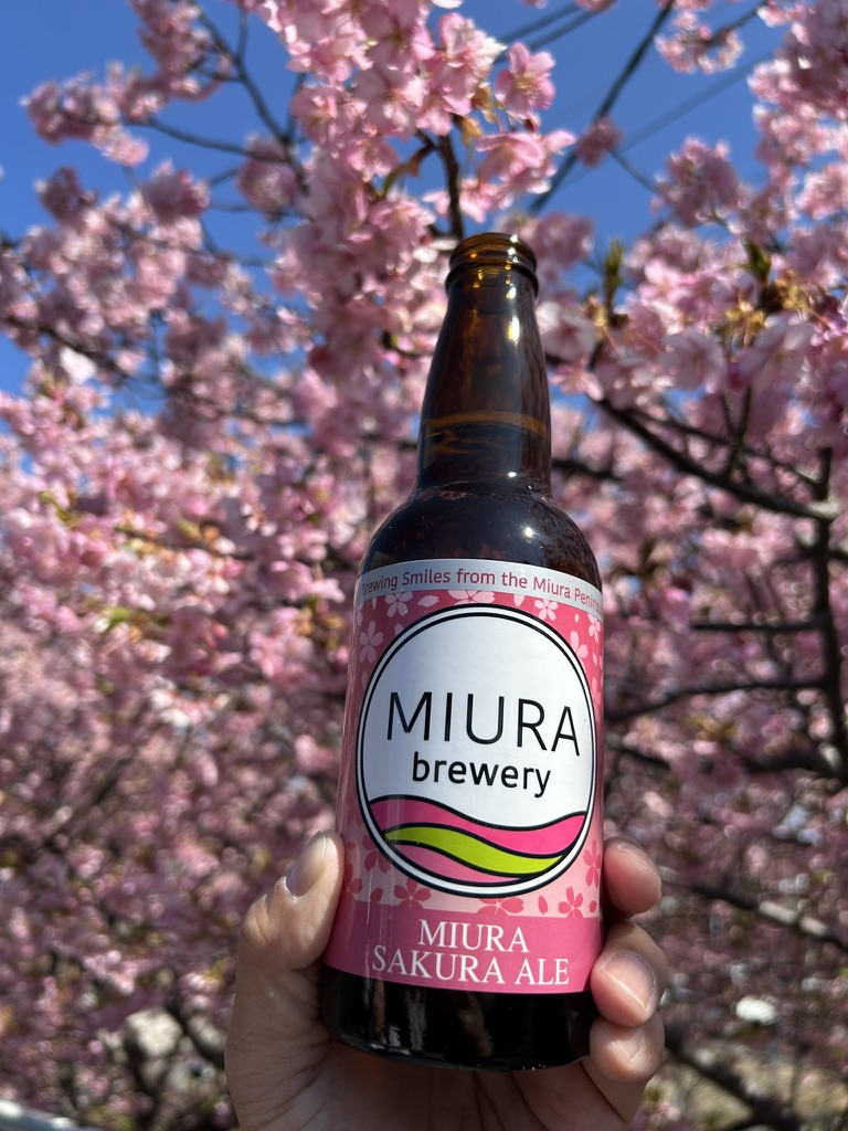 miura sakura ngoi sao moi noi bat voi phong cach doc dao va suc hut kho cung 697e682dbd110